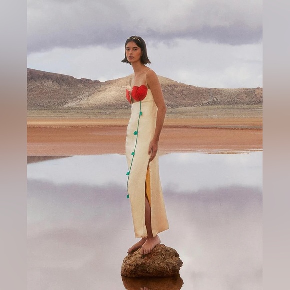 FARM Rio Dresses & Skirts - FARM Rio Cream Slip Dress with Red Bust and Green Accents